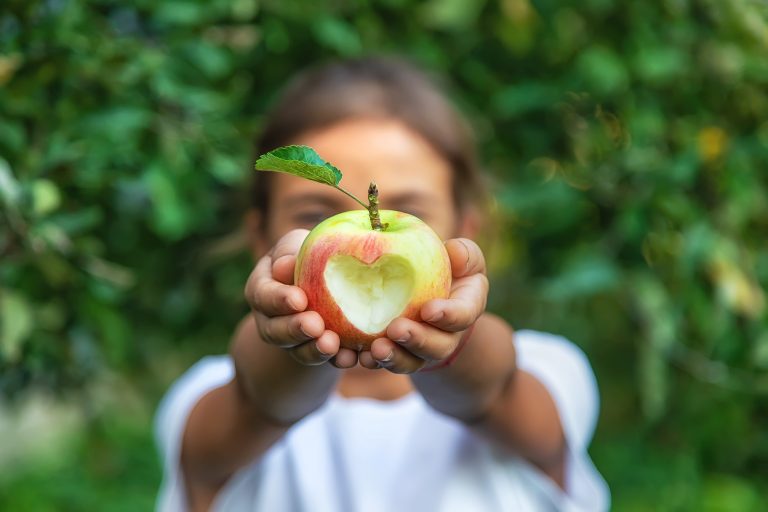 CDU/FDP Antrag Gesundes Essen für alle Kinder