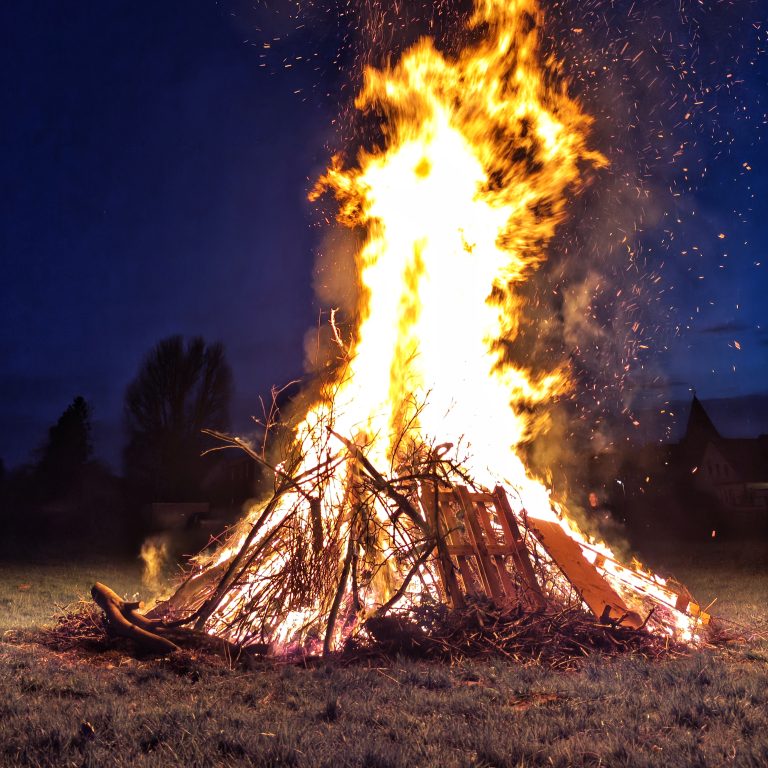 Holz verbrennt nicht klimaneutral!